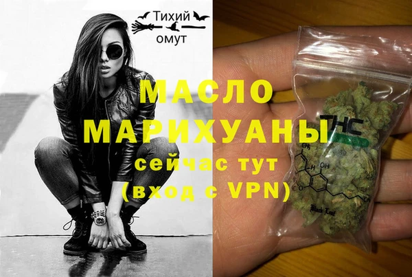 МДПВ Протвино