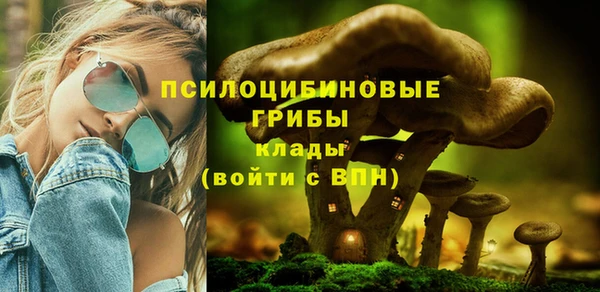 МДПВ Протвино