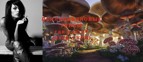 МДПВ Протвино
