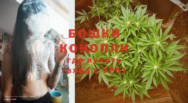 МДПВ Протвино