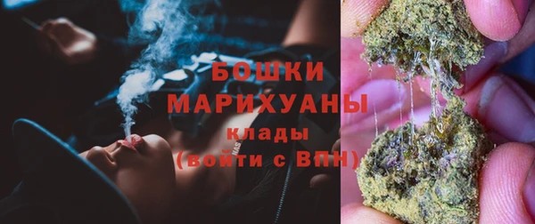 МДПВ Протвино