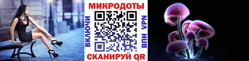 купить наркоту  Тогучин  блэк спрут как войти  Галлюциногенные грибы GOLDEN TEACHER 